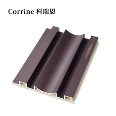 بانسری آرائشی انڈور ڈبلیو پی سی پروفیشنل پینل